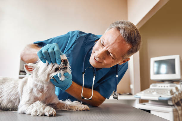 Best Emergency Gum Treatment in Leisure Village East, NJ
